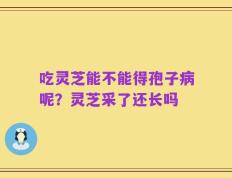 吃灵芝能不能得孢子病呢？灵芝采了还长吗