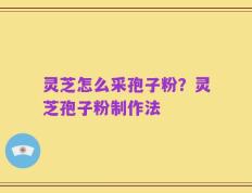 灵芝怎么采孢子粉？灵芝孢子粉制作法