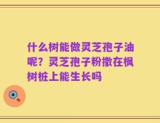 什么树能做灵芝孢子油呢？灵芝孢子粉撒在枫树桩上能生长吗