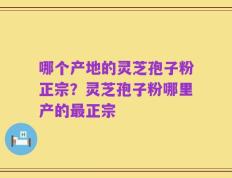 哪个产地的灵芝孢子粉正宗？灵芝孢子粉哪里产的最正宗