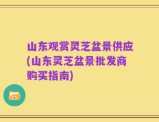 山东观赏灵芝盆景供应(山东灵芝盆景批发商购买指南)