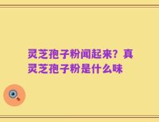 灵芝孢子粉闻起来？真灵芝孢子粉是什么味