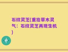 石纹灵芝(重拾草木灵气：石纹灵芝再现生机)