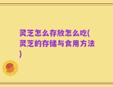 灵芝怎么存放怎么吃(灵芝的存储与食用方法)