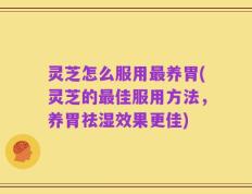 灵芝怎么服用最养胃(灵芝的最佳服用方法，养胃祛湿效果更佳)