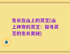生长在山上的灵芝(山上神奇的灵芝：探寻灵芝的生长奥秘)