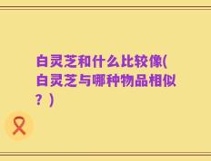 白灵芝和什么比较像(白灵芝与哪种物品相似？)