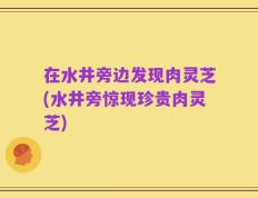 在水井旁边发现肉灵芝(水井旁惊现珍贵肉灵芝)