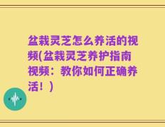 盆栽灵芝怎么养活的视频(盆栽灵芝养护指南视频：教你如何正确养活！)