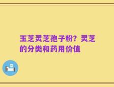 玉芝灵芝孢子粉？灵芝的分类和药用价值