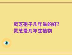 灵芝孢子几年生的好？灵芝是几年生植物