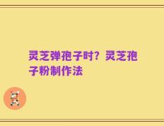 灵芝弹孢子时？灵芝孢子粉制作法