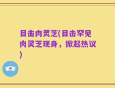 目击肉灵芝(目击罕见肉灵芝现身，掀起热议)