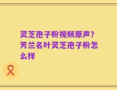 灵芝孢子粉视频原声？芳兰名叶灵芝孢子粉怎么样