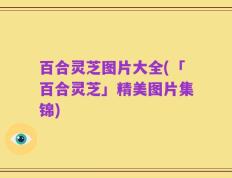 百合灵芝图片大全(「百合灵芝」精美图片集锦)