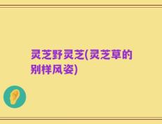 灵芝野灵芝(灵芝草的别样风姿)