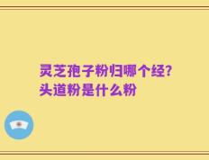 灵芝孢子粉归哪个经？头道粉是什么粉
