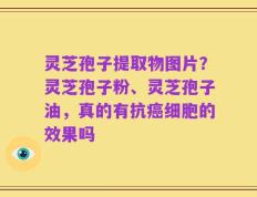 灵芝孢子提取物图片？灵芝孢子粉、灵芝孢子油，真的有抗癌细胞的效果吗