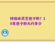 特级赤灵芝孢子粉？10克孢子粉大约多少