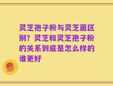 灵芝孢子粉与灵芝菌区别？灵芝和灵芝孢子粉的关系到底是怎么样的谁更好