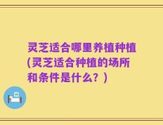 灵芝适合哪里养植种植(灵芝适合种植的场所和条件是什么？)