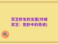 灵芝野生的文案(珍稀灵芝：荒野中的奇迹)