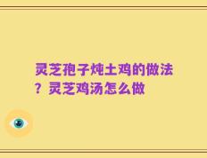 灵芝孢子炖土鸡的做法？灵芝鸡汤怎么做