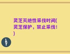灵芝灭绝性采伐时间(灵芝保护，禁止采伐！)