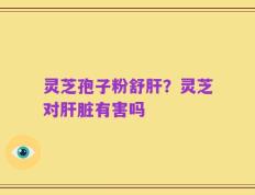 灵芝孢子粉舒肝？灵芝对肝脏有害吗