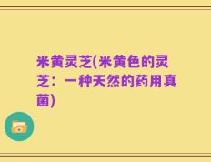 米黄灵芝(米黄色的灵芝：一种天然的药用真菌)