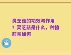灵芝菇的功效与作用 ？灵芝菇是什么，种植前景如何