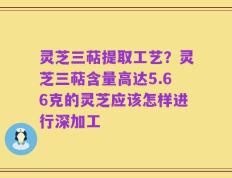 灵芝三萜提取工艺？灵芝三萜含量高达5.66克的灵芝应该怎样进行深加工