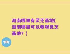 湖南哪里有灵芝基地(湖南哪里可以参观灵芝基地？)
