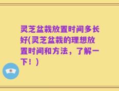 灵芝盆栽放置时间多长好(灵芝盆栽的理想放置时间和方法，了解一下！)