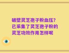 破壁灵芝孢子粉血压？已采集了灵芝孢子粉的灵芝功效作用怎样呢