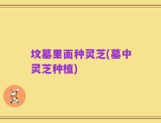 坟墓里面种灵芝(墓中灵芝种植)