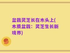 盆栽灵芝长在木头上(木质盆栽：灵芝生长新境界)