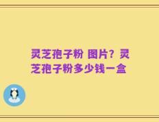 灵芝孢子粉 图片？灵芝孢子粉多少钱一盒