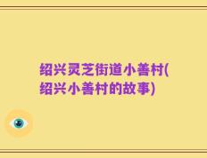 绍兴灵芝街道小善村(绍兴小善村的故事)