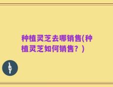 种植灵芝去哪销售(种植灵芝如何销售？)