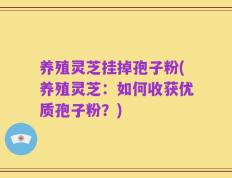 养殖灵芝挂掉孢子粉(养殖灵芝：如何收获优质孢子粉？)