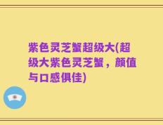 紫色灵芝蟹超级大(超级大紫色灵芝蟹，颜值与口感俱佳)
