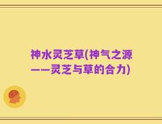 神水灵芝草(神气之源——灵芝与草的合力)
