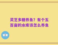 灵芝多糖养鱼？有个五百亩的水库该怎么养鱼