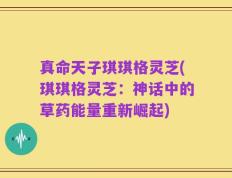 真命天子琪琪格灵芝(琪琪格灵芝：神话中的草药能量重新崛起)