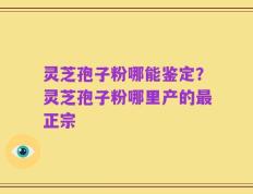 灵芝孢子粉哪能鉴定？灵芝孢子粉哪里产的最正宗