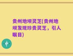 贵州地坝灵芝(贵州地坝发现珍贵灵芝，引人瞩目)