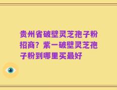 贵州省破壁灵芝孢子粉招商？紫一破壁灵芝孢子粉到哪里买最好
