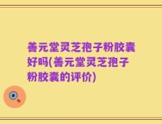 善元堂灵芝孢子粉胶囊好吗(善元堂灵芝孢子粉胶囊的评价)
