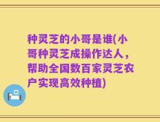 种灵芝的小哥是谁(小哥种灵芝成操作达人，帮助全国数百家灵芝农户实现高效种植)